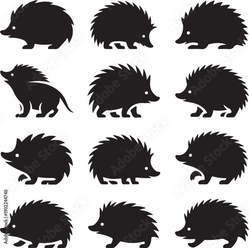 black silhouettes of hedgehogs in various poses on white background