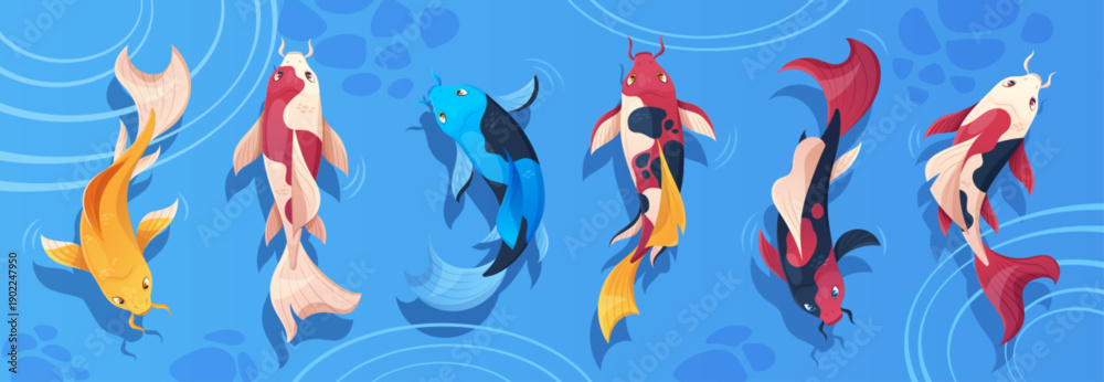 Fototapeta premium Koi fish pond top view with colorful Japanese carp swimming in tranquil water. Vector illustration of traditional oriental zen garden elements - animal above blue water with decorative ripple effect.