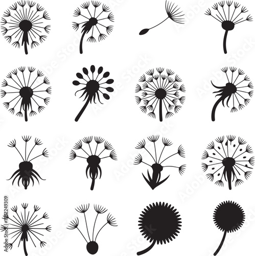 Black silhouettes of various dandelion flowers and seed heads