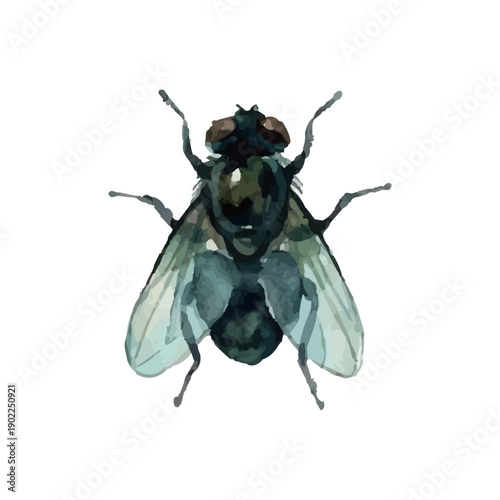 Watercolor-style illustration of pests and flies／害虫・ハエ