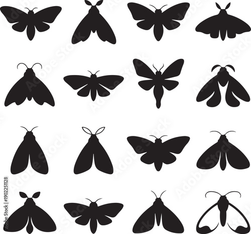 black silhouettes of various moths and butterflies on white background