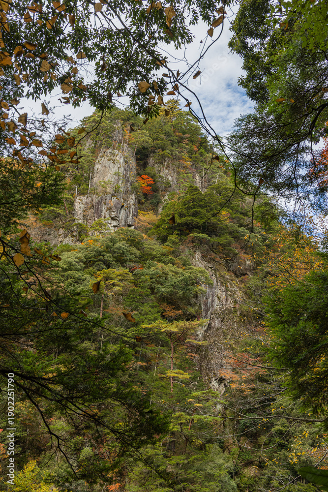 Fototapeta premium 日本 広島県山県郡安芸太田町にある峡谷、三段峡の天狗岩と紅葉した木々
