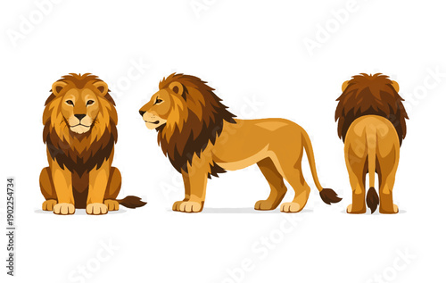 Cute Lion Character Set Front Side Back Views Vector