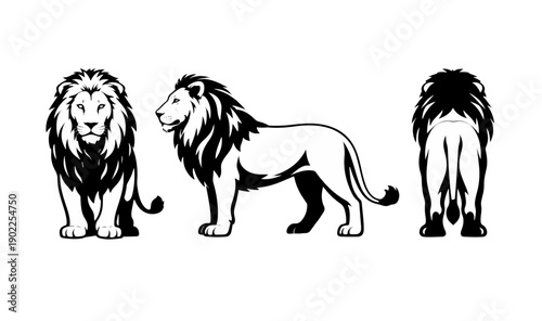 Hand Drawn Lion Sketch Front Side Back Vector Set