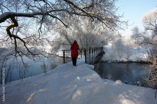 Sunny frosty day. The footpath passes on the metal bridge through the river. Plants are decorated with amazing hoarfrost. Everything is covered by snow.