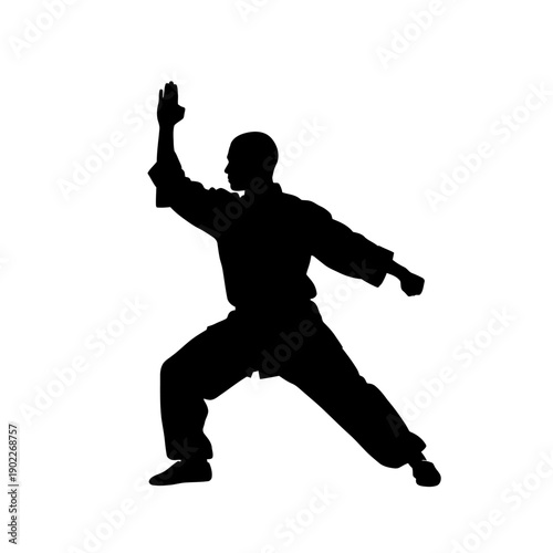 Silhouette of a person practicing martial arts in a dynamic pose.