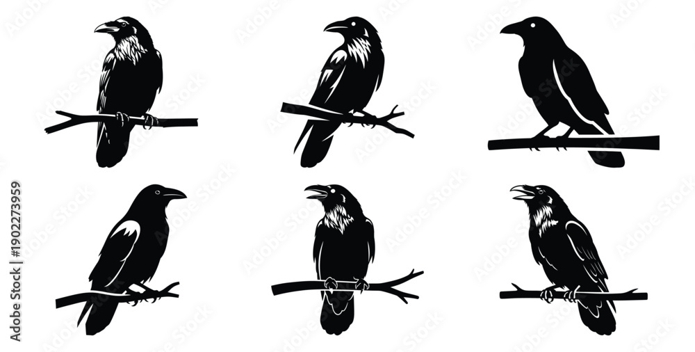 Fototapeta premium Set of halloween raven on branch silhouettes black icon Vector illustration and isolated on white background.