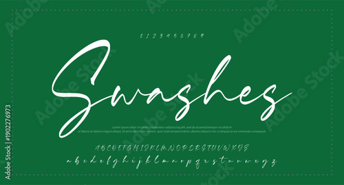 Hand drawn vector alphabet. Modern monoline signature script font. Elegant Signature Font. Best Alphabet Beautiful Calligraphy Signature Font. vector illustration 