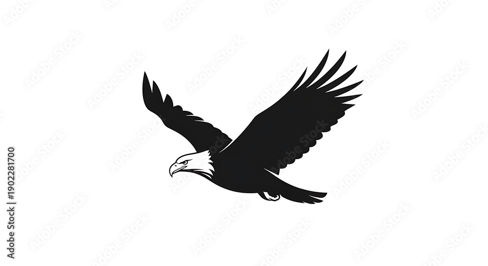 Obraz premium Silhouette of an eagle in flight against a white background, wings spread wide