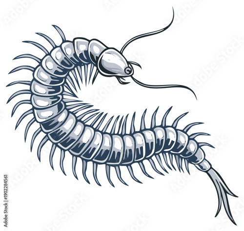 Arthropod Creature With Many Legs Illustration