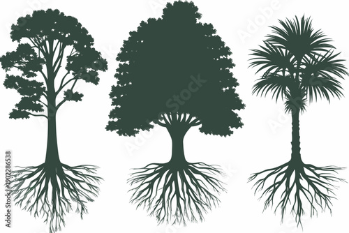 Silhouettes of three trees with visible root systems against white background