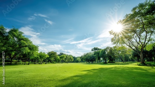 Lush green lawn and trees in a park on a sunny day. Beautiful outdoor landscape for environmental concept and nature background.