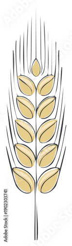 Illustration of a wheat plant. Hand drawn style.