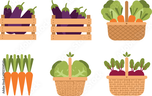 Organic Vegetables in Wooden Crates and Wicker Baskets Flat Vector Illustration Collection Isolated on White
