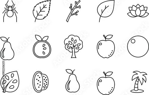 Nature and environment thin line icon set featuring leaves trees fruits flowers and spider for organic botanical graphic design projects.
