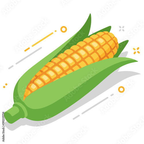 Fresh ear of corn with green husks on white background