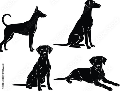 Dog silhouette illustration, standing dog pose, sitting dog posture, lying dog position, pet animal vector, canine artwork, black silhouette design