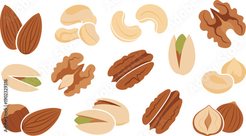 Assorted Nuts Illustration Vector Set with Almond Cashew Walnut Pistachio Hazelnut and Pecan Healthy Snack Food Elements
