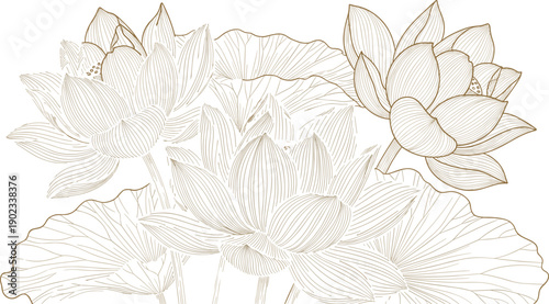 Lotus flower botanical illustration, lotus leaves vector, floral line artwork, monochrome lotus sketch, elegant plant drawing, decorative lotus design