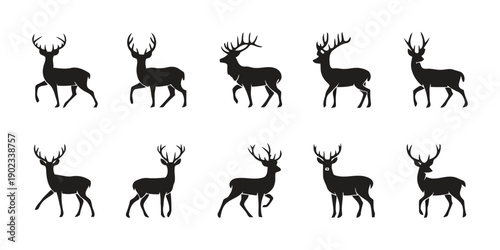 Set of ten black silhouette deer illustrations standing in different poses, full body, isolated on white background