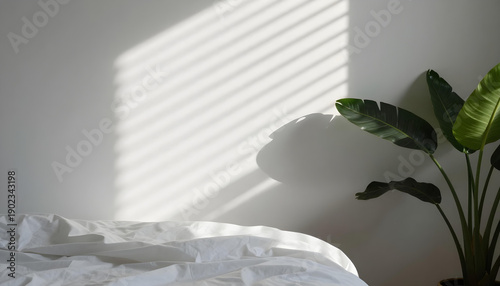 Sunlight streams through blinds casting striped shadows on a white wall next to a bed and plant