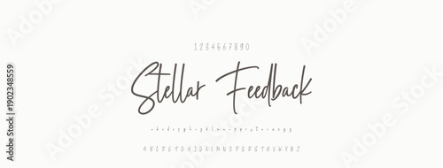 Signature Font Uppercase Lowercase And Number. Script Font Calligraphy Logotype elegant Font Type Font lettering handwritten. vector illustration