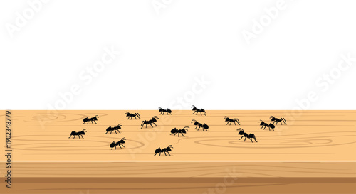 Group of Black Ants Crawling on a Wooden Table Top Surface for Pest Control and Nature Observation.