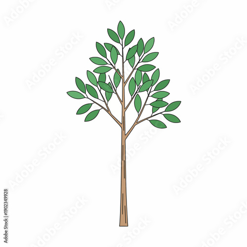 Minimal flat vector illustration of a single rubber tree, elongated leaves, straight trunk, plantation tree style, clean smooth outlines