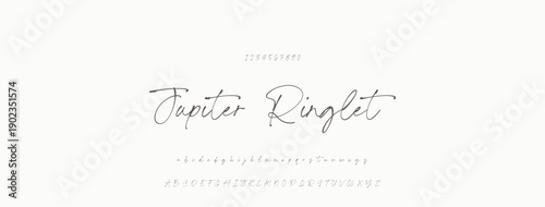 Signature Font Uppercase Lowercase And Number. Script Font Calligraphy Logotype elegant Font Type Font lettering handwritten. vector illustration