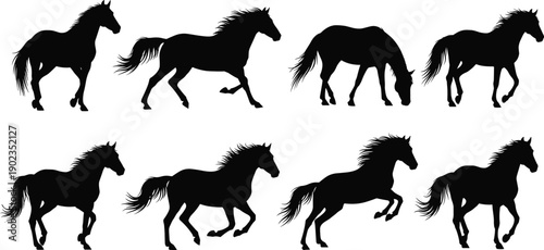 WebVector illustration of horse silhouettes in dynamic poses including walking, trotting, galloping, grazing and rearing, animal motion design concept for wildlife, nature