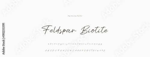 Elegant Script Font Alphabet Typography. Signature Font Calligraphy Logotype Script Brush Font Type Font lettering handwritten.