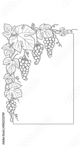Grapes and leaves frame a blank space in a decorative corner design.