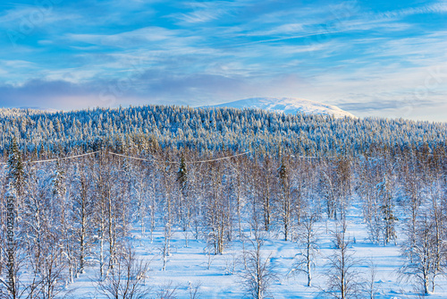 Obraz na plátně Landschaft im Winter mit Wald in Äkäslompolo, Finnland