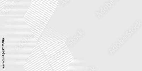 Hexagon white gray wave light technology texture background. Abstract big data digital concept simple art modern abstract. Eps 10