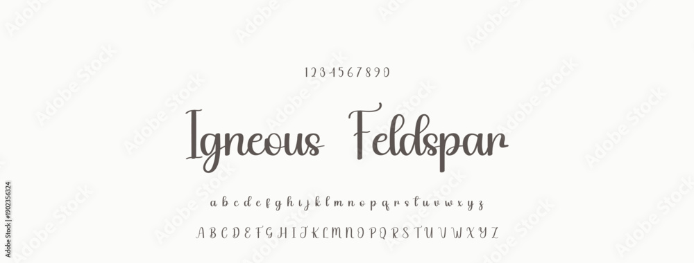 Fototapeta premium Elegant Script Font Alphabet Typography. Signature Font Calligraphy Logotype Script Brush Font Type Font lettering handwritten.