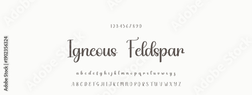 Elegant Script Font Alphabet Typography. Signature Font Calligraphy Logotype Script Brush Font Type Font lettering handwritten.