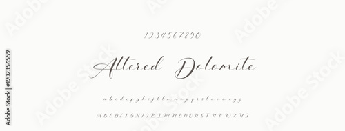 Elegant Script Font Alphabet Typography. Signature Font Calligraphy Logotype Script Brush Font Type Font lettering handwritten.