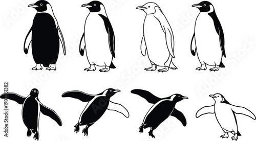Collection of penguin silhouettes in standing and swimming poses isolated on gray background, Antarctic bird wildlife illustration set for design