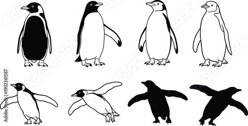 Vector, black, silhouette, and, outline, illustration, set, of, various, penguins, in, standing, and, swimming, poses, for, antarctic, wildlife, nature, and, animal, design (22 words)
