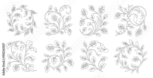 Outline floral ornaments, botanical decorative elements, vintage scrollwork, vine illustrations
