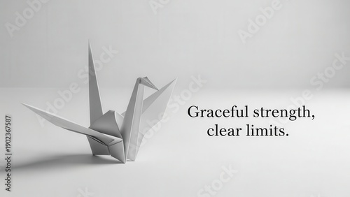 Origami Crane on White Surface