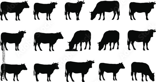 Collection of cow and cattle silhouettes isolated on white background representing farm animals, livestock, dairy industry, agriculture, and rural farming concepts