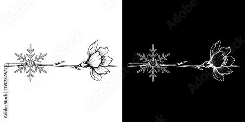 Branch displaying a snowflake and a blooming flower, concept of Spring Equinox, isolated vector image, two design options on transparent and black backgrounds, pencil drawing, chalk drawing  
