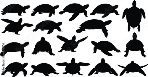 Collection of sea turtle silhouettes isolated on white background representing marine wildlife, ocean biodiversity, aquatic reptiles, and natural habitat conservation