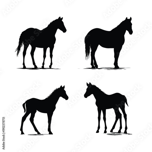 horse silhouettes vector