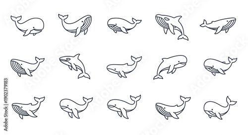 Collection of simple line drawings of whales in various poses.