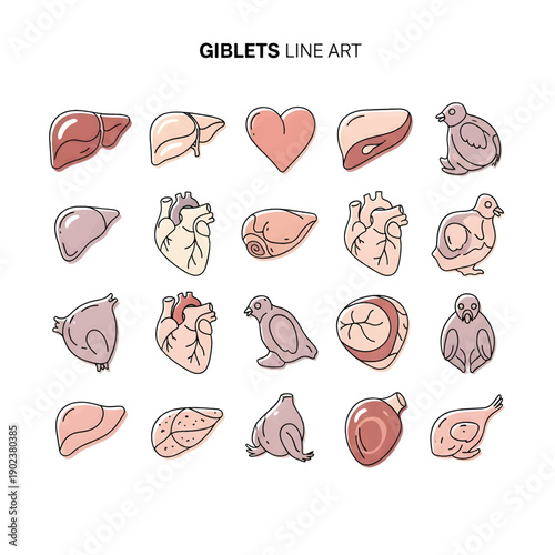 Raw Chicken Giblets Ready for Cooking or Culinary Preparation