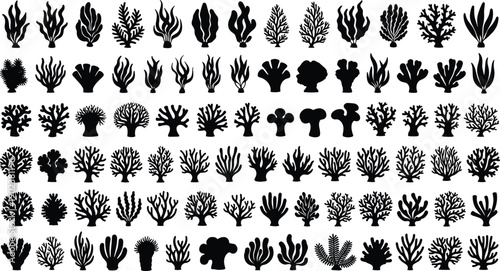 Collection of seaweed, coral, and marine plant silhouettes isolated on white background representing underwater flora, ocean biodiversity, and aquatic nature