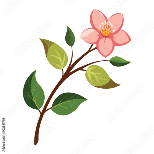 Adobe Illustrator Artwork pink flower on white flower