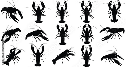 Lobster silhouettes collection showing multiple crustacean poses including top view and side view, marine seafood wildlife, isolated black vector illustration set